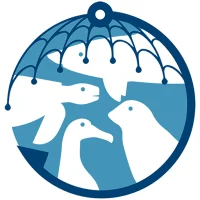 Bycatch
